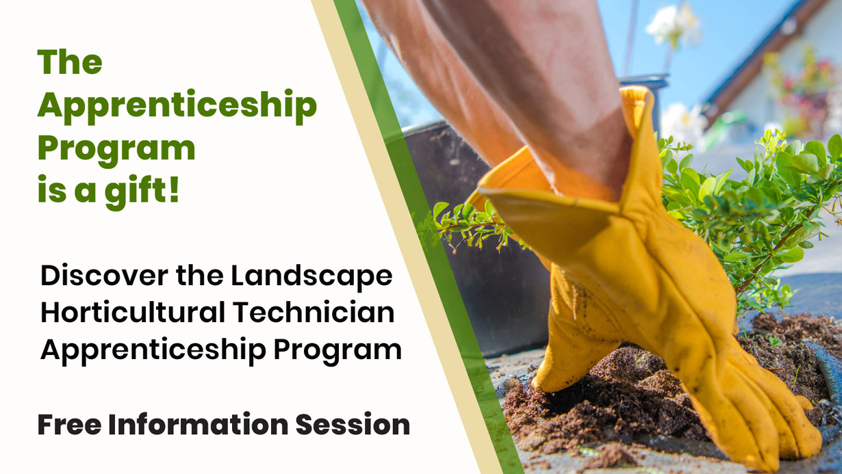 Info Session; The Apprenticeship Program is a Gift