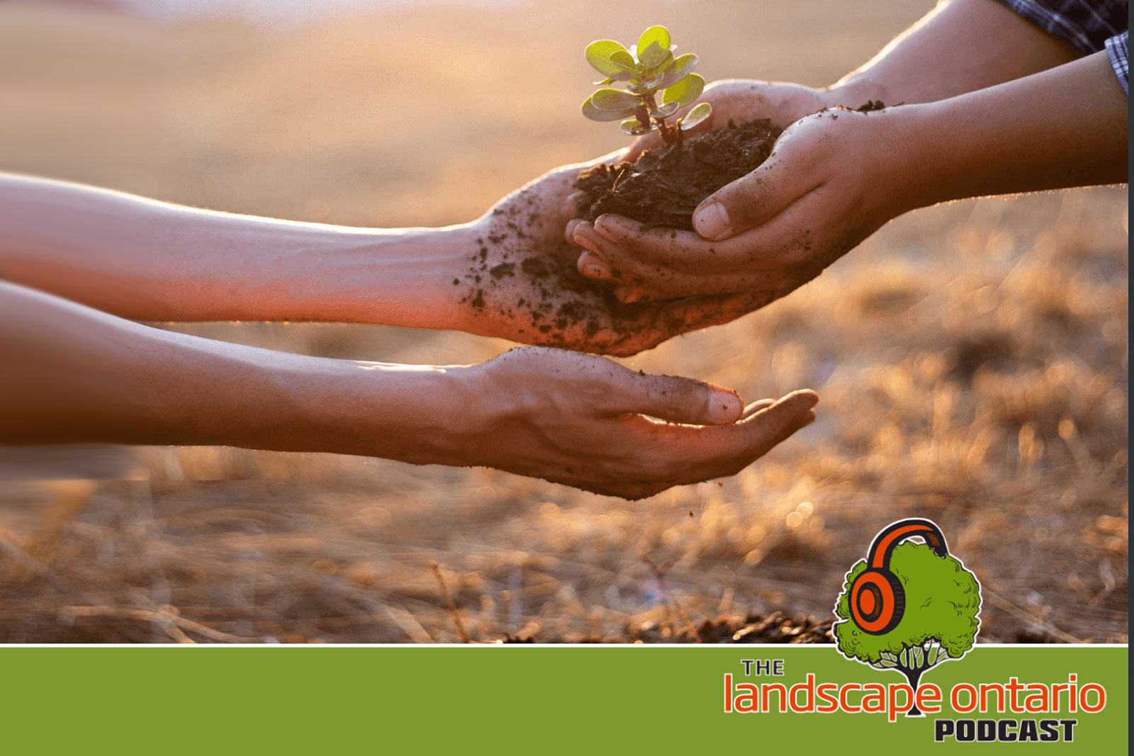 The impact of apprenticeship Ontario Apprenticeship Landscape