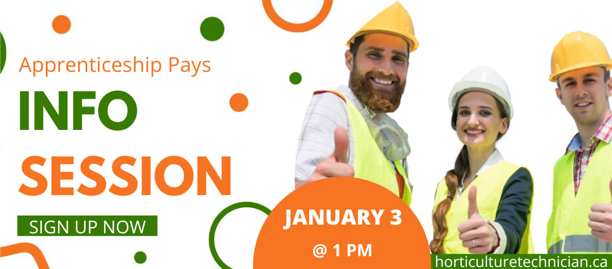 January 3 Info Session