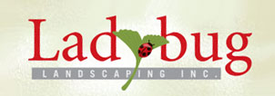 Ladybug Landscaping