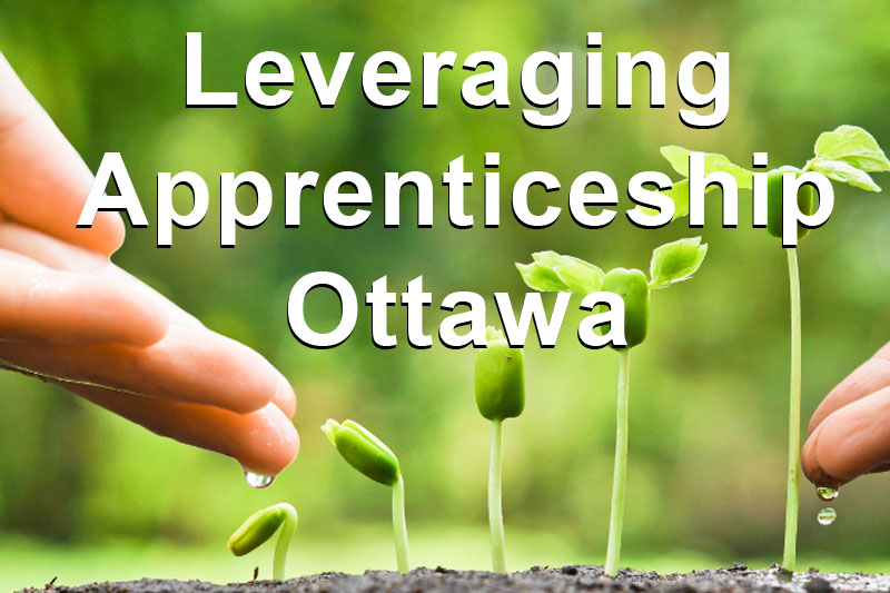 Leveraging Apprenticeship Ottawa